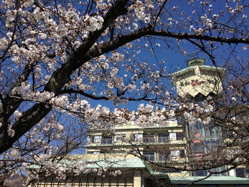 Isawa View Hotel Fuefuki Eksteriør bilde